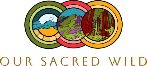 Our Sacred Wild